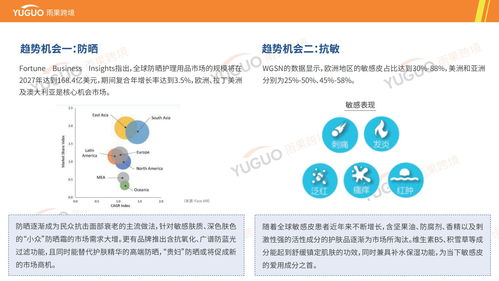 护肤产品出海指南与海外市场选品调研报告——基于雨果跨境分析视角